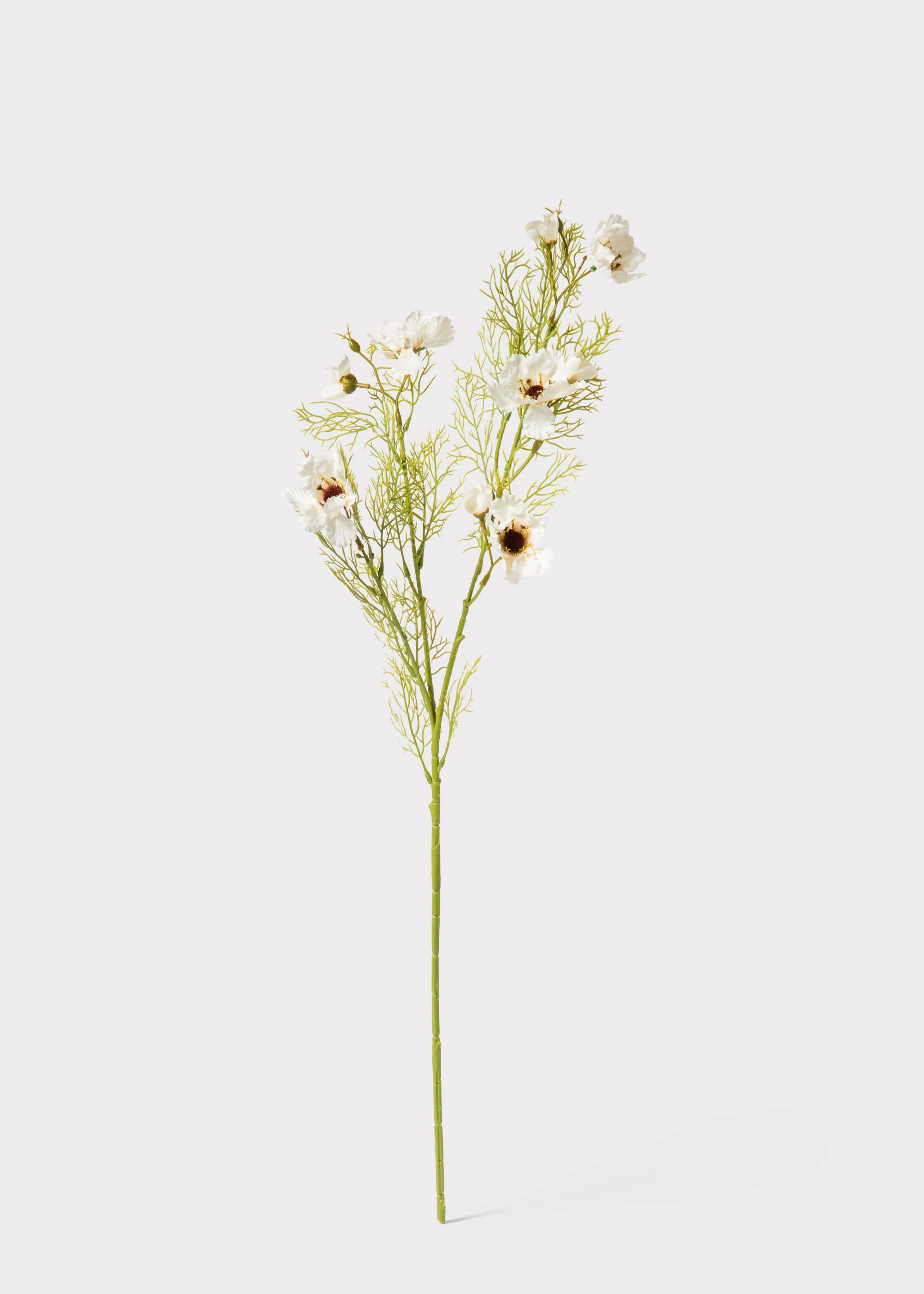 Abigail Ahern Artificial Cosmos Flower Branch in Cream - 32.25" - Image 4