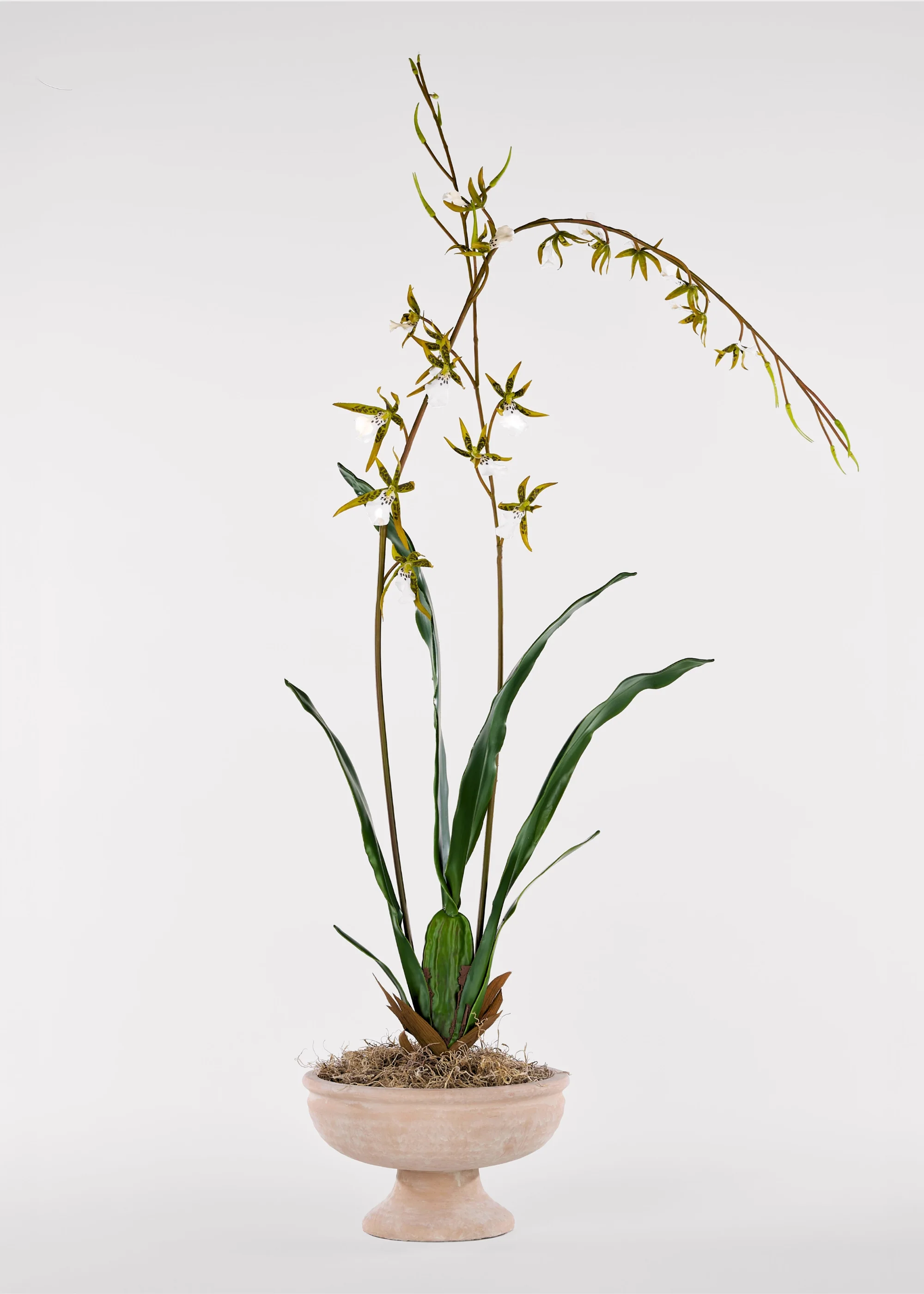 Tall Artificial Blooming Brassia Orchid Plant - 52" - Image 2