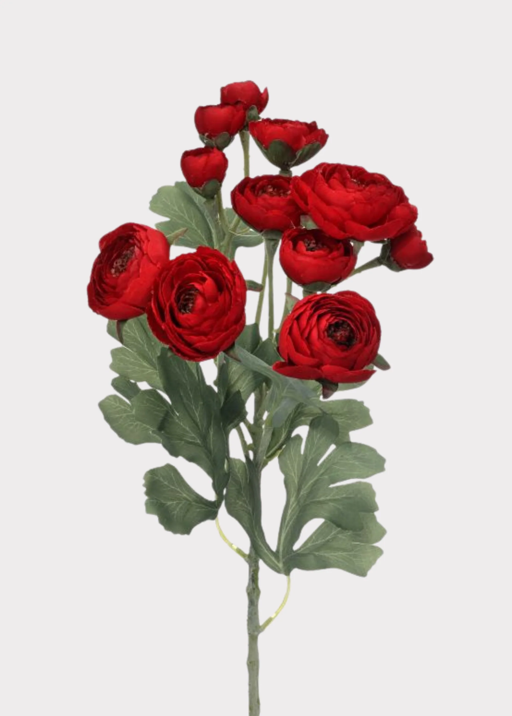 Artificial Blooming Ranunculus Flowers in Red - 21"
