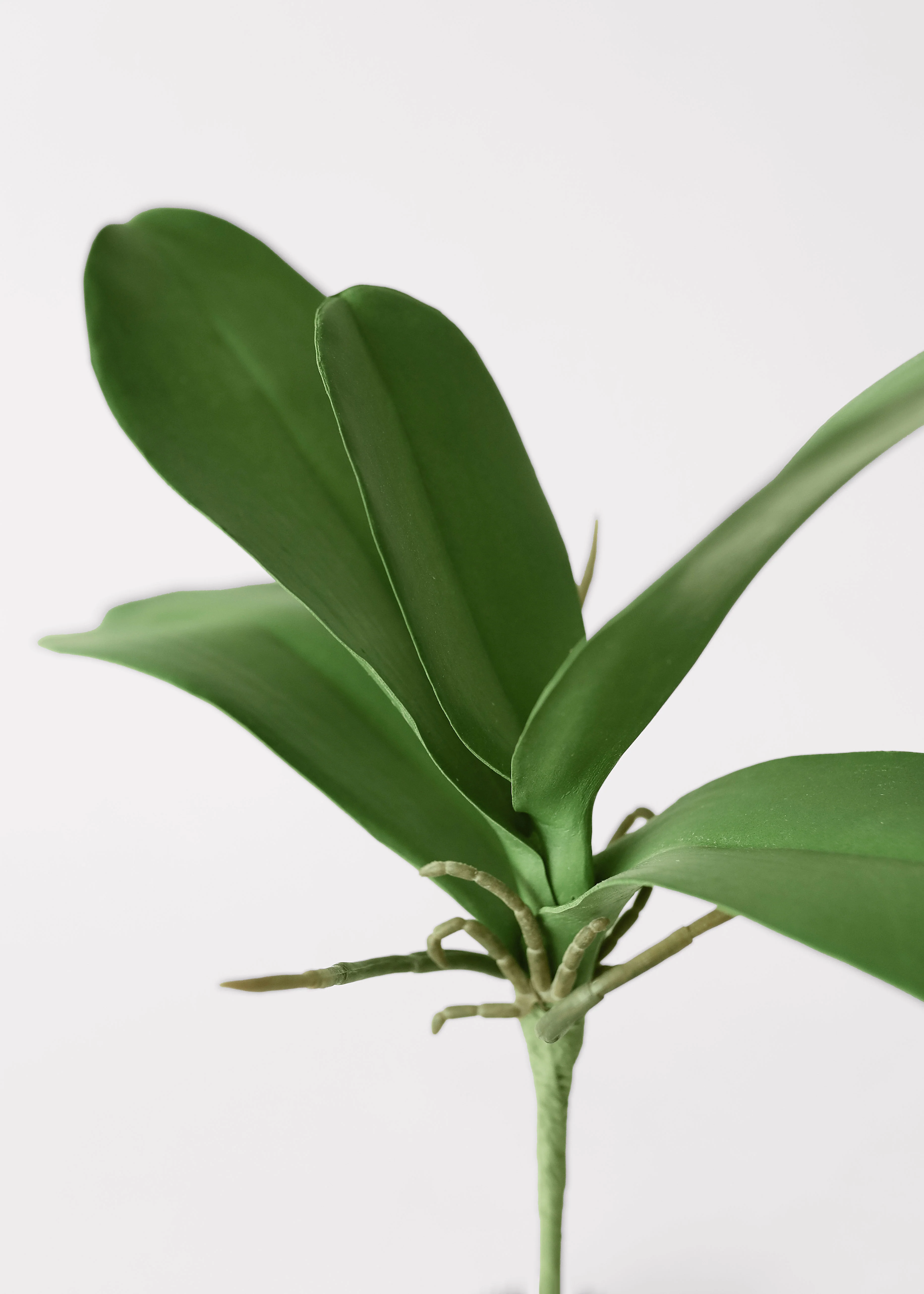 Artificial Phalaenopsis Orchid Leaf Plant - 15" - Image 3