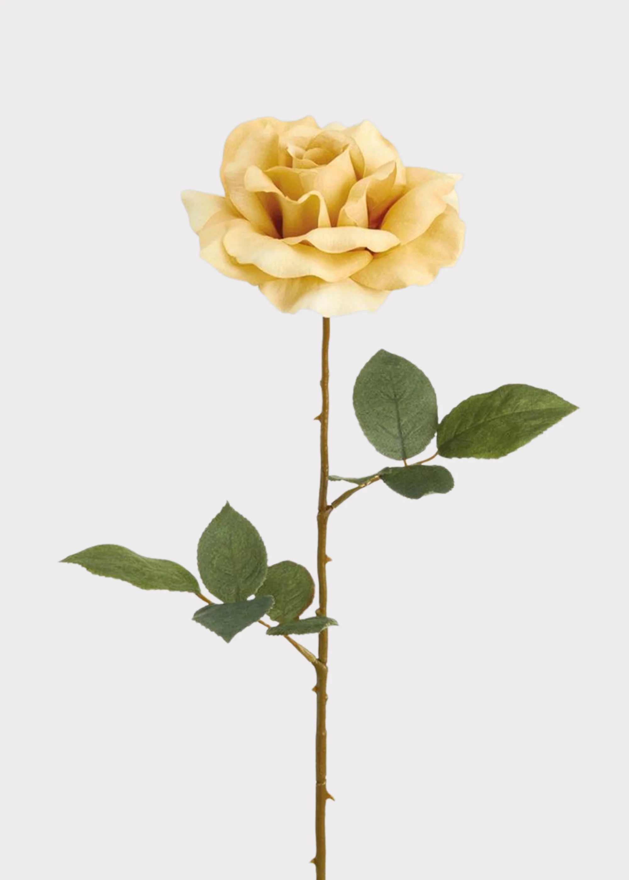 Artificial Rose Flower in Beige - 25"