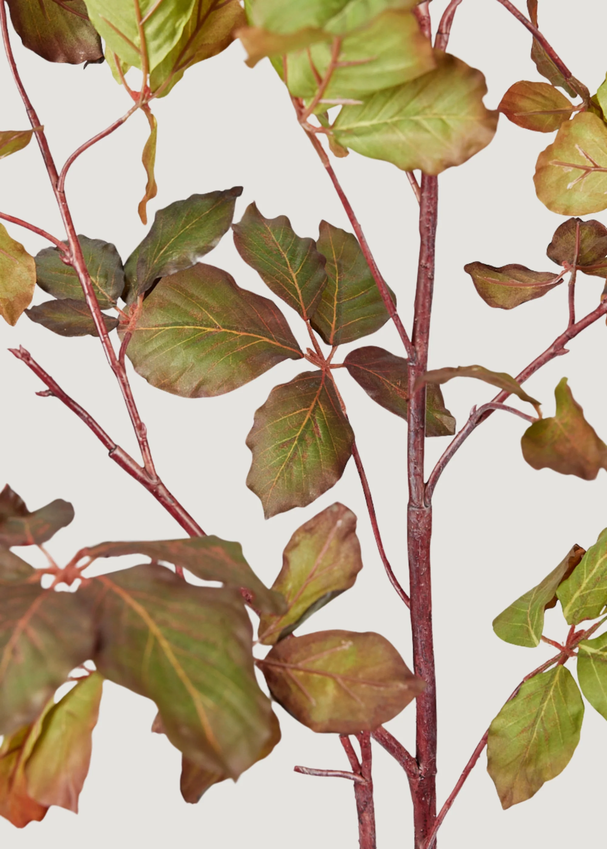 Tall Burgundy Green Faux Chestnut Leaf Branch - 47" - Image 4