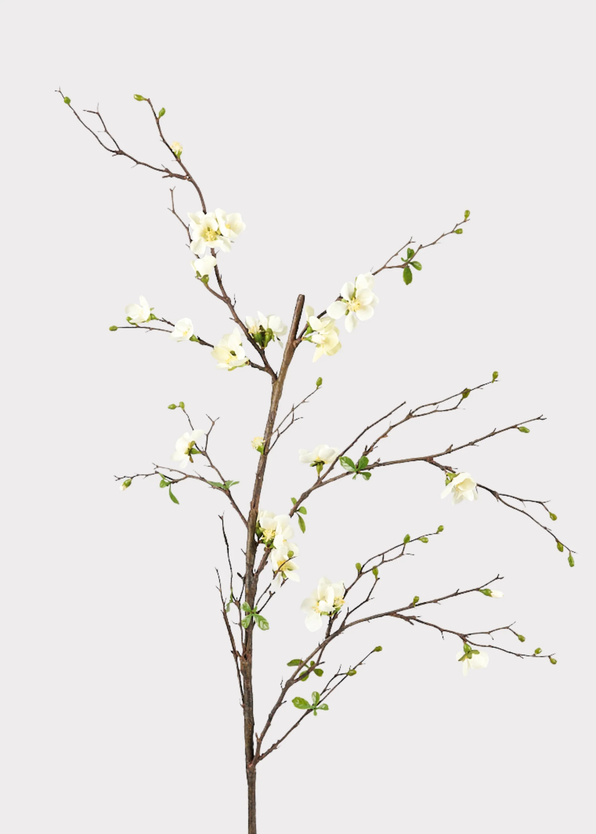 Premium Artificial Flowers - Cream Artificial Blossom Branch - 57"
