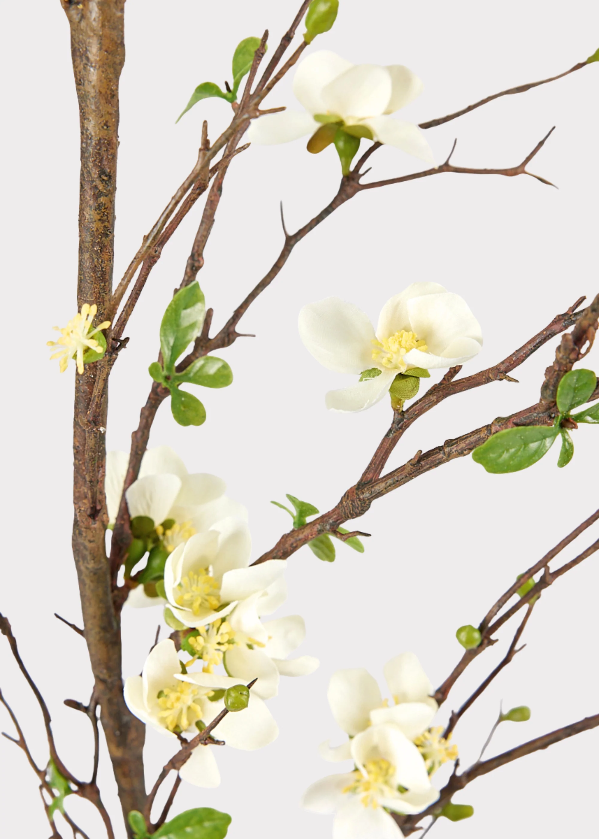 Premium Artificial Flowers - Cream Artificial Blossom Branch - 57" - Image 4