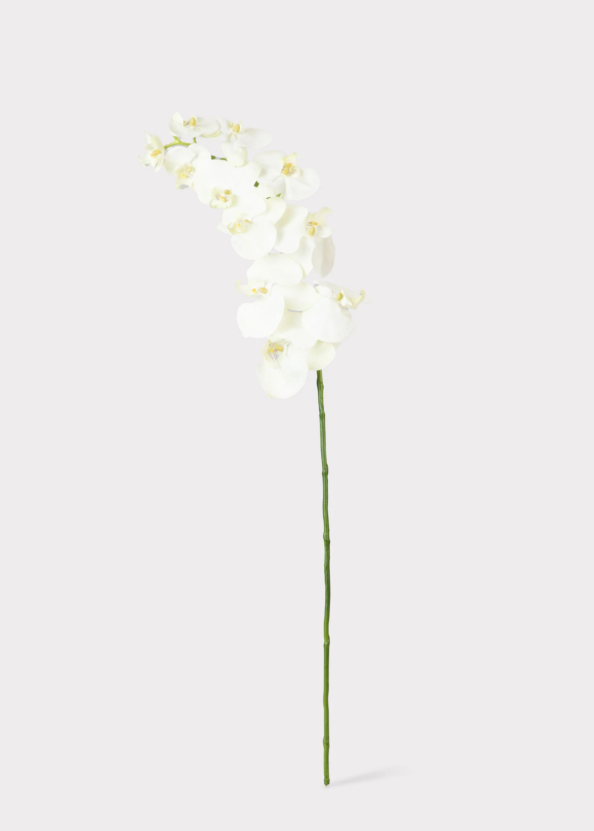 White Cream Artificial Phalaenopsis Orchids - 39" - Image 5