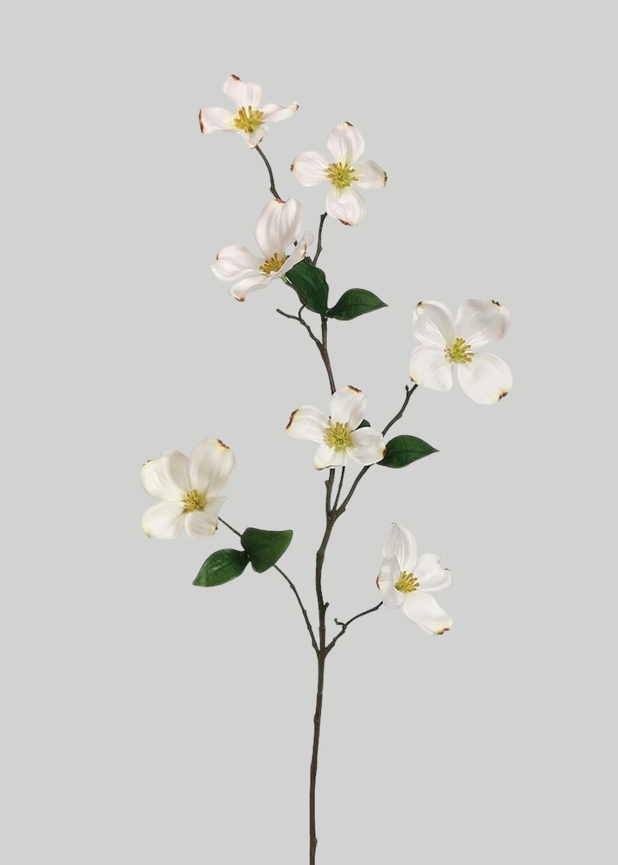 Cream Fake Dogwood Spring Flower Branch - 29"