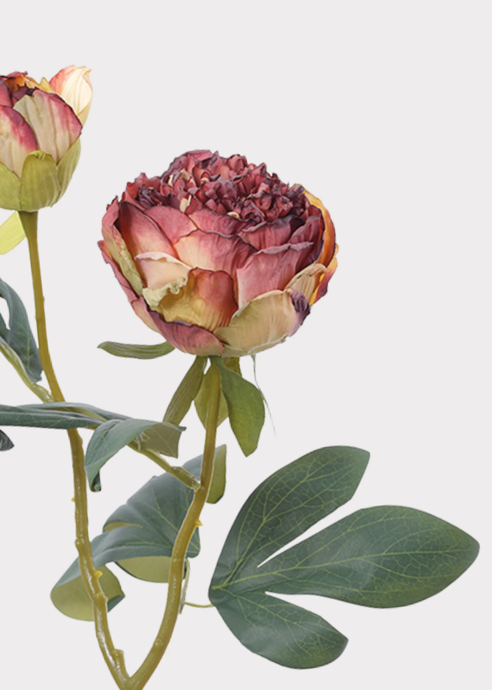 Burgundy Artificial Petite Peony Flower - 19" - Image 3