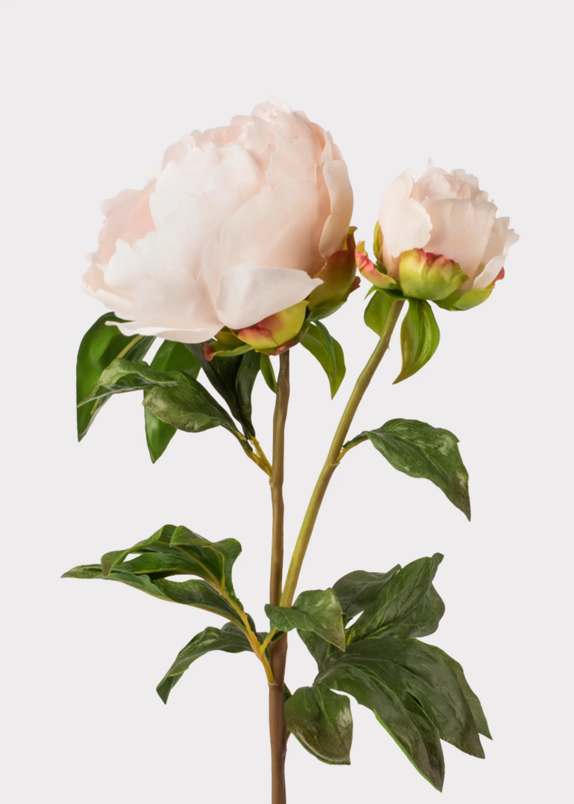 Real Touch Fake Flowers Blush Peony - 27"