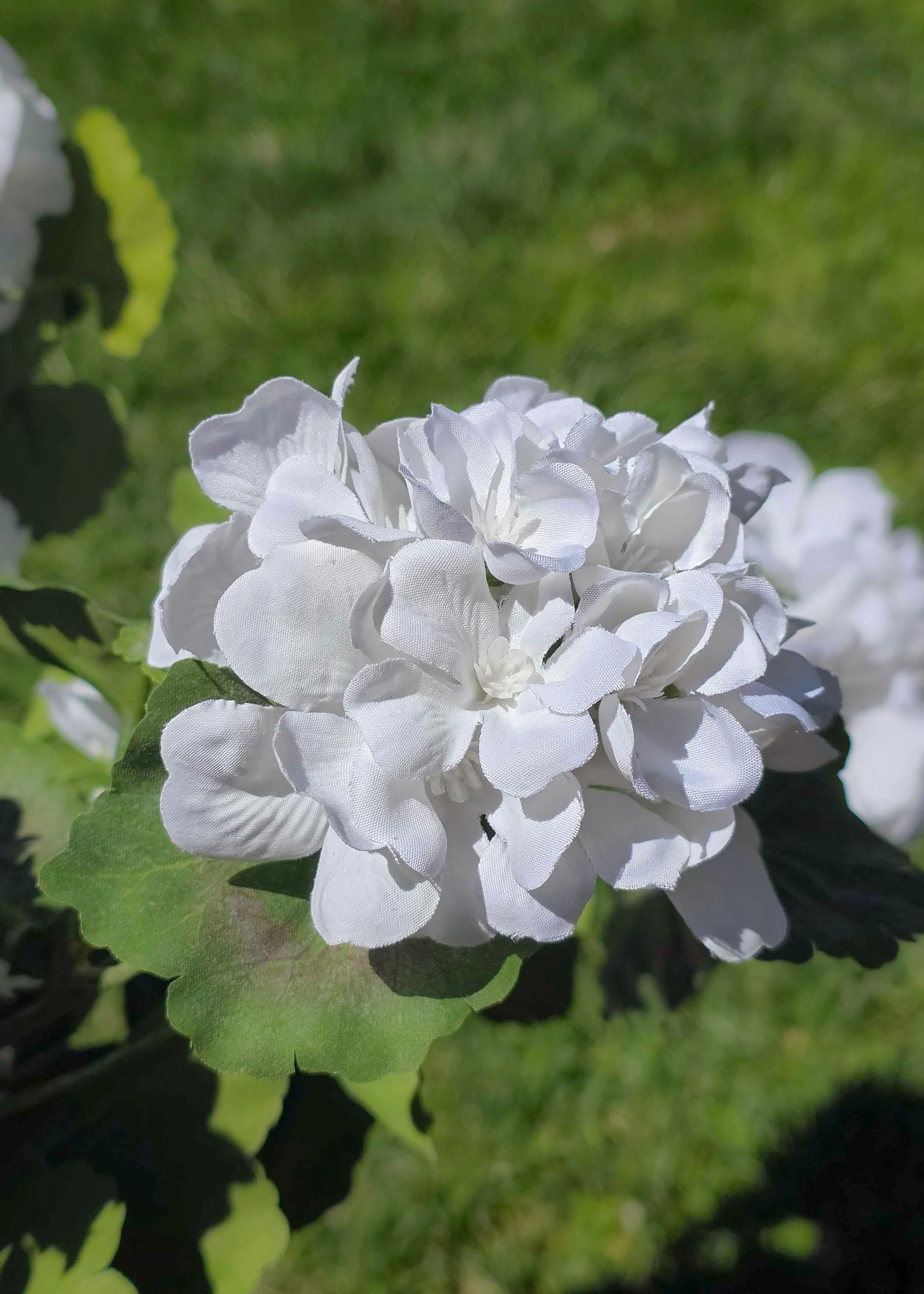 Fake Geranium Indoor/Outdoor Water Resistant Bush - 22" - Image 5