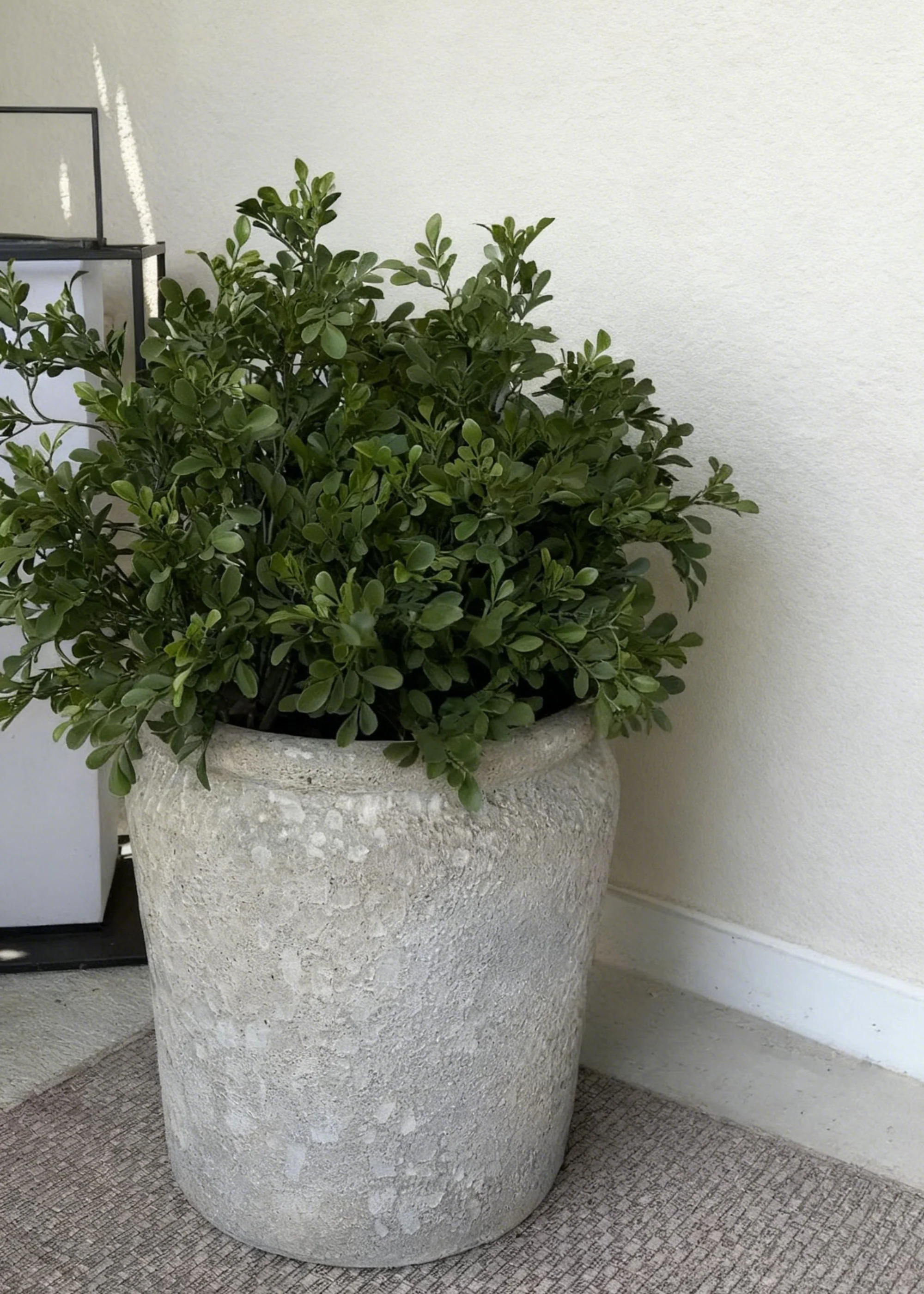 Fake Plants UV Treated Indoor/Outdoor Boxwood Bush - 24" - Image 3