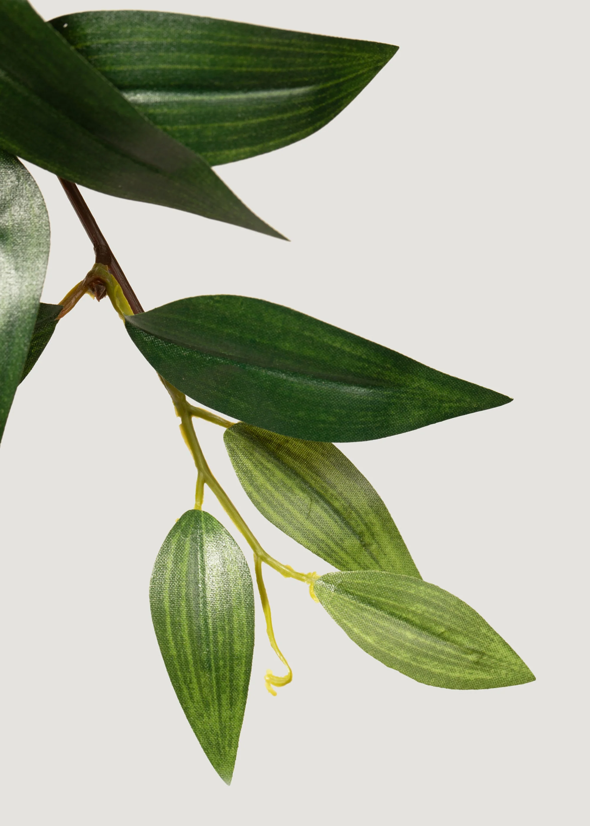 Fake Ruscus Leaf Hanging Plant - 31" - Image 3