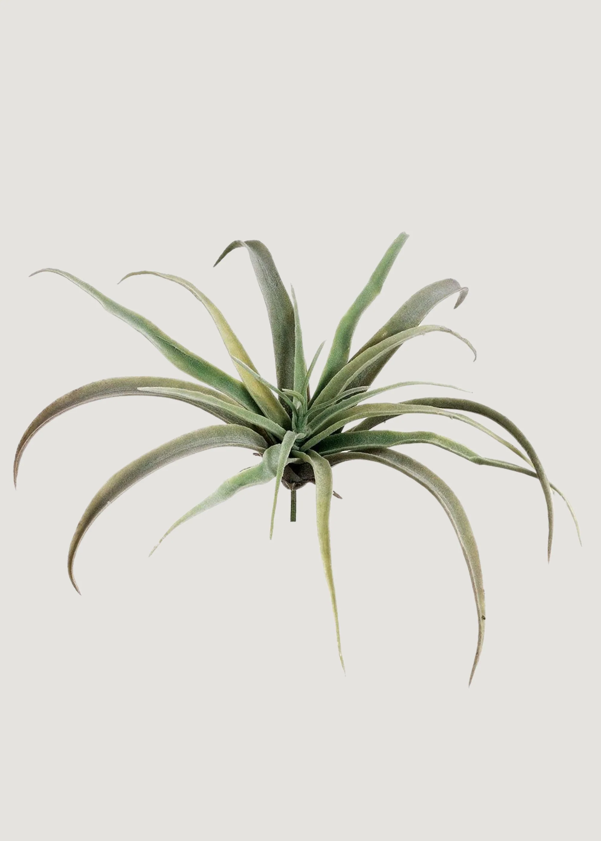 Large Fake Tillandsia Succulent Air Plant - 9"