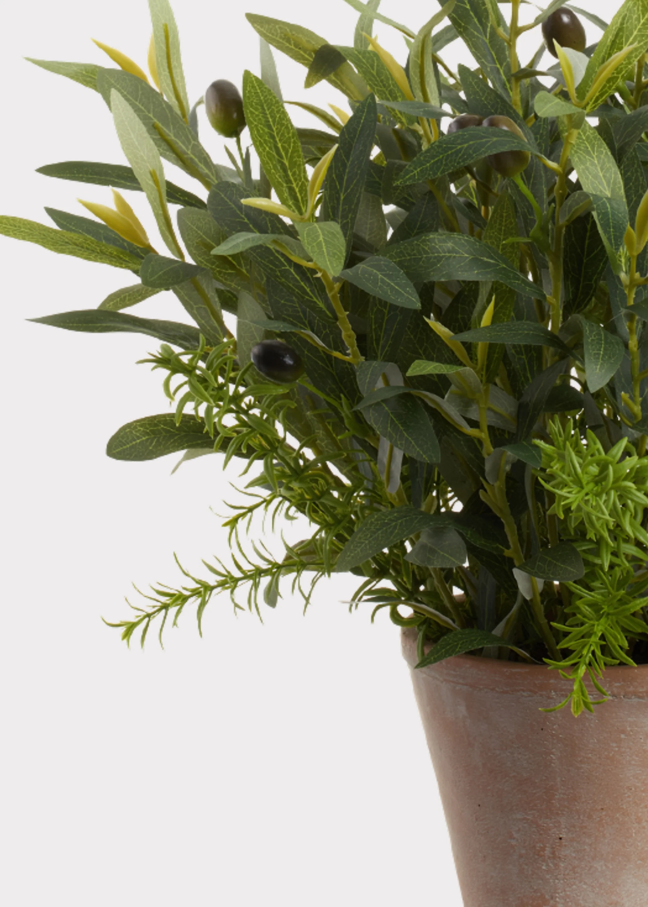 Fake Olive Leaf and Rosemary Plant in Cement Pot - 17" - Image 2