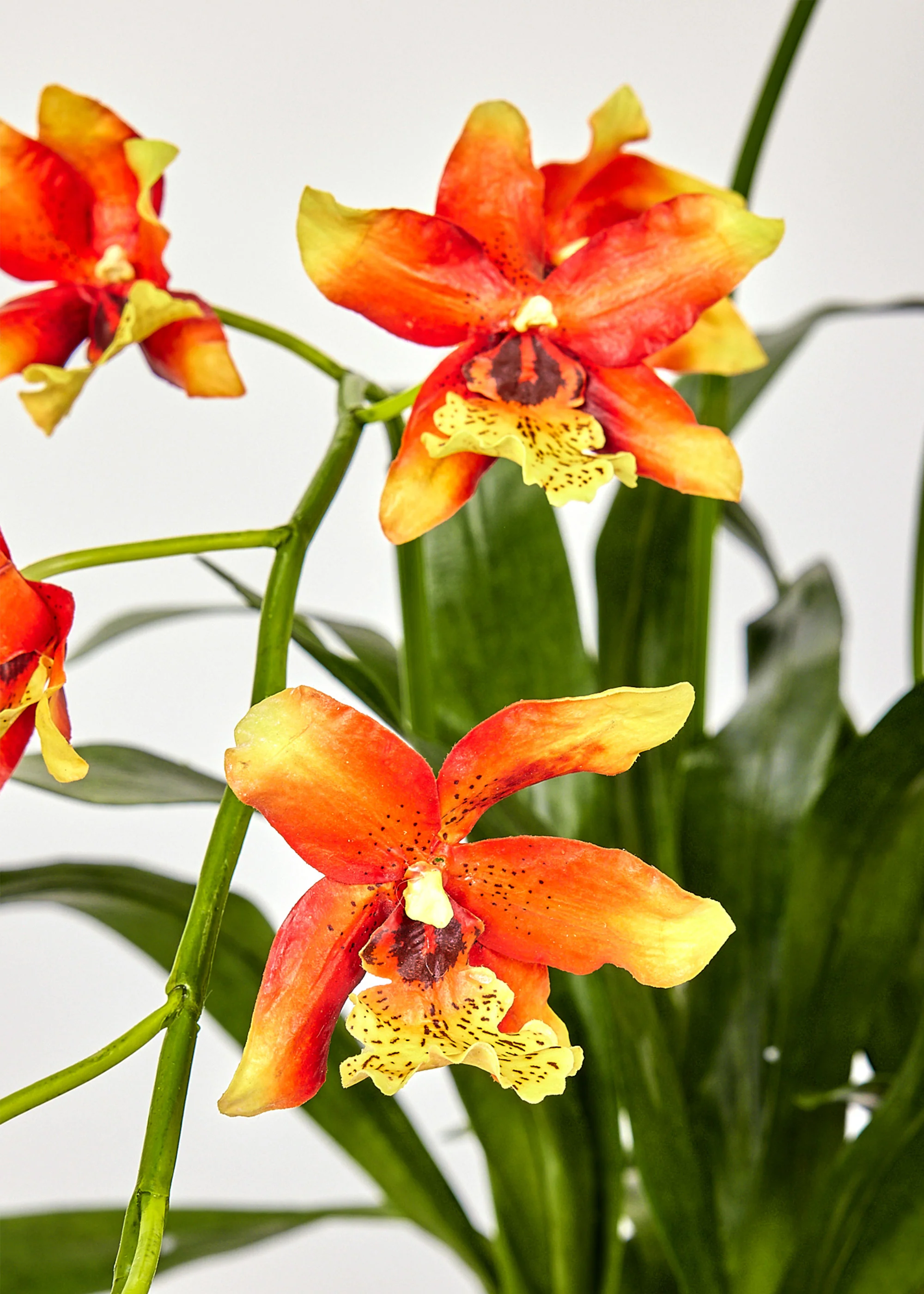 Faux Potted Orchid Arrangement in Clay Bowl - 28" - Image 3