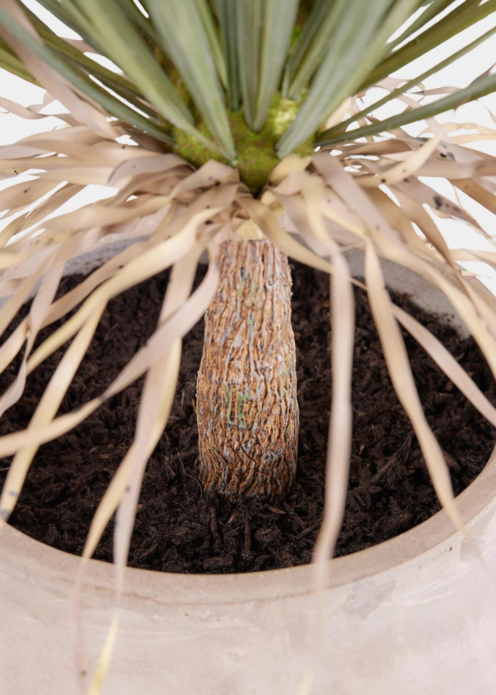 Faux Potted Palm Tree Plant in Cement Planter - 40" - Image 6