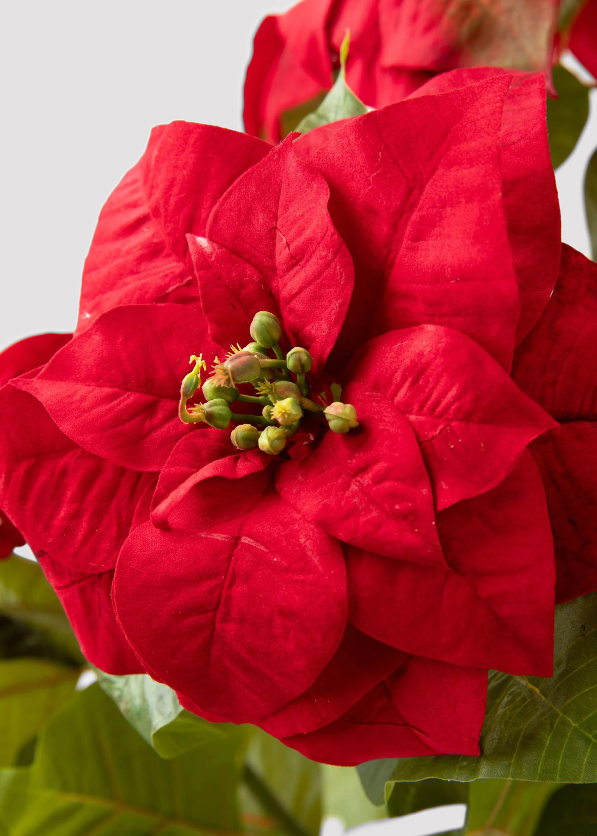 SALE - Tabletop Artificial Poinsettia Tree - 36" - Image 3