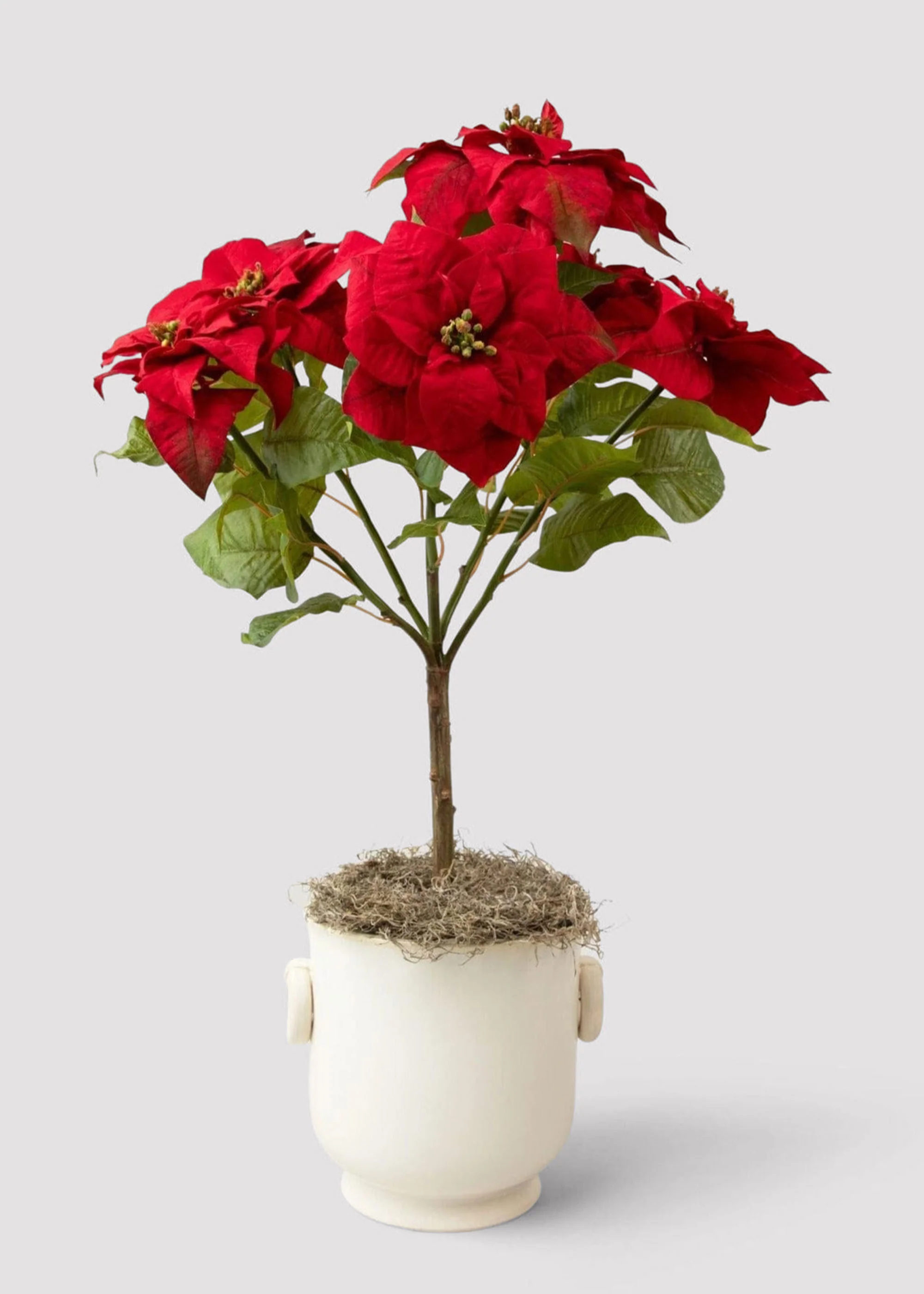 SALE - Tabletop Artificial Poinsettia Tree - 36" - Image 5