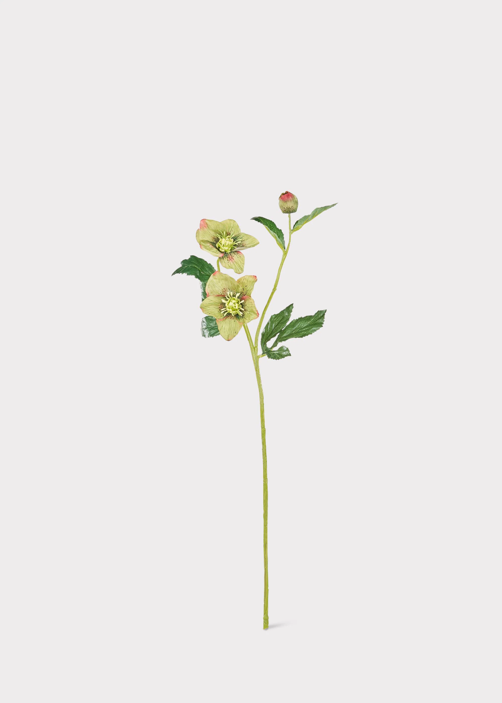 Green Burgundy Artificial Helleborus Flower - 22" - Image 3