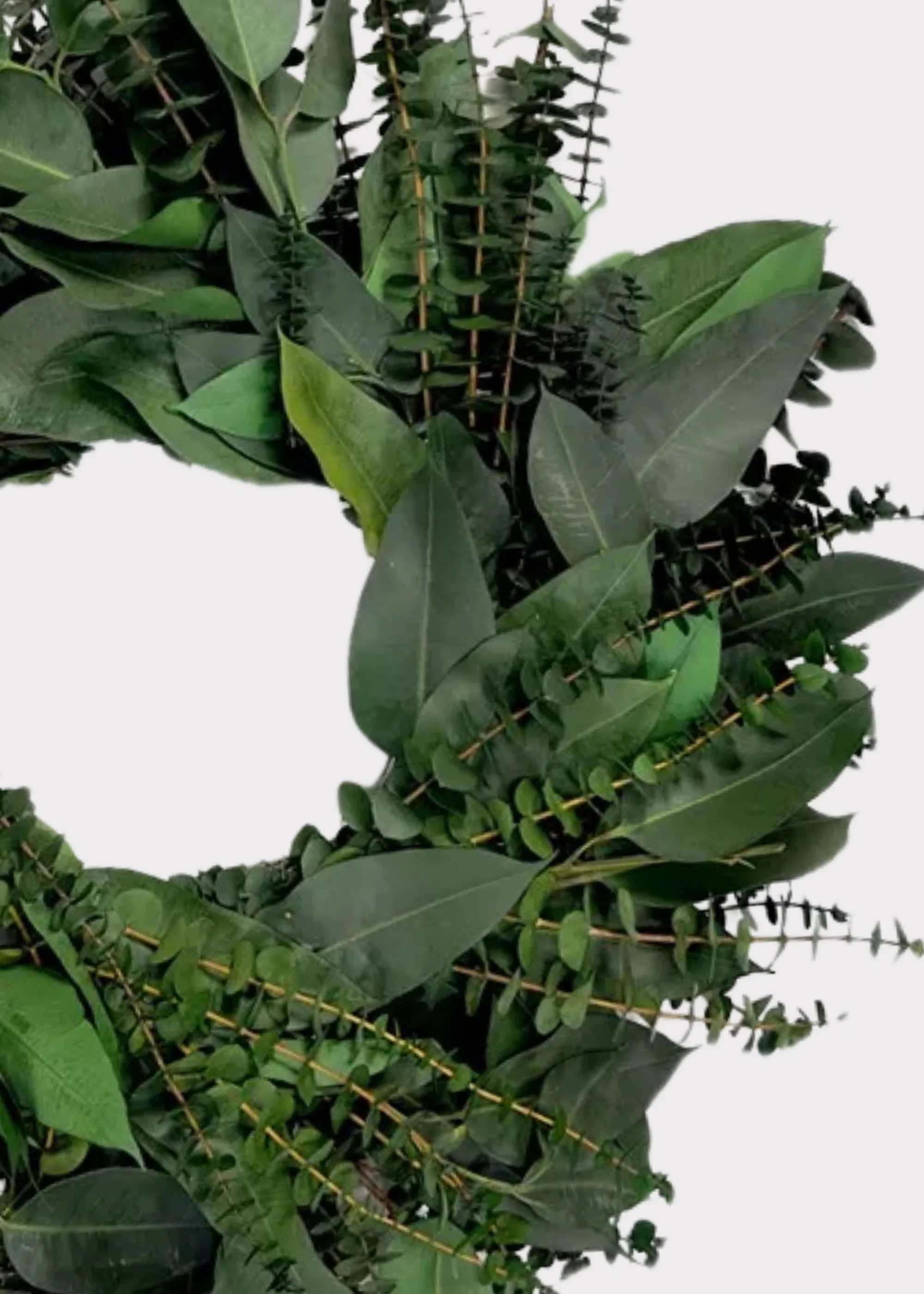 Green Preserved Diamond Eucalyptus Leaf Wreath - 22" - Image 2