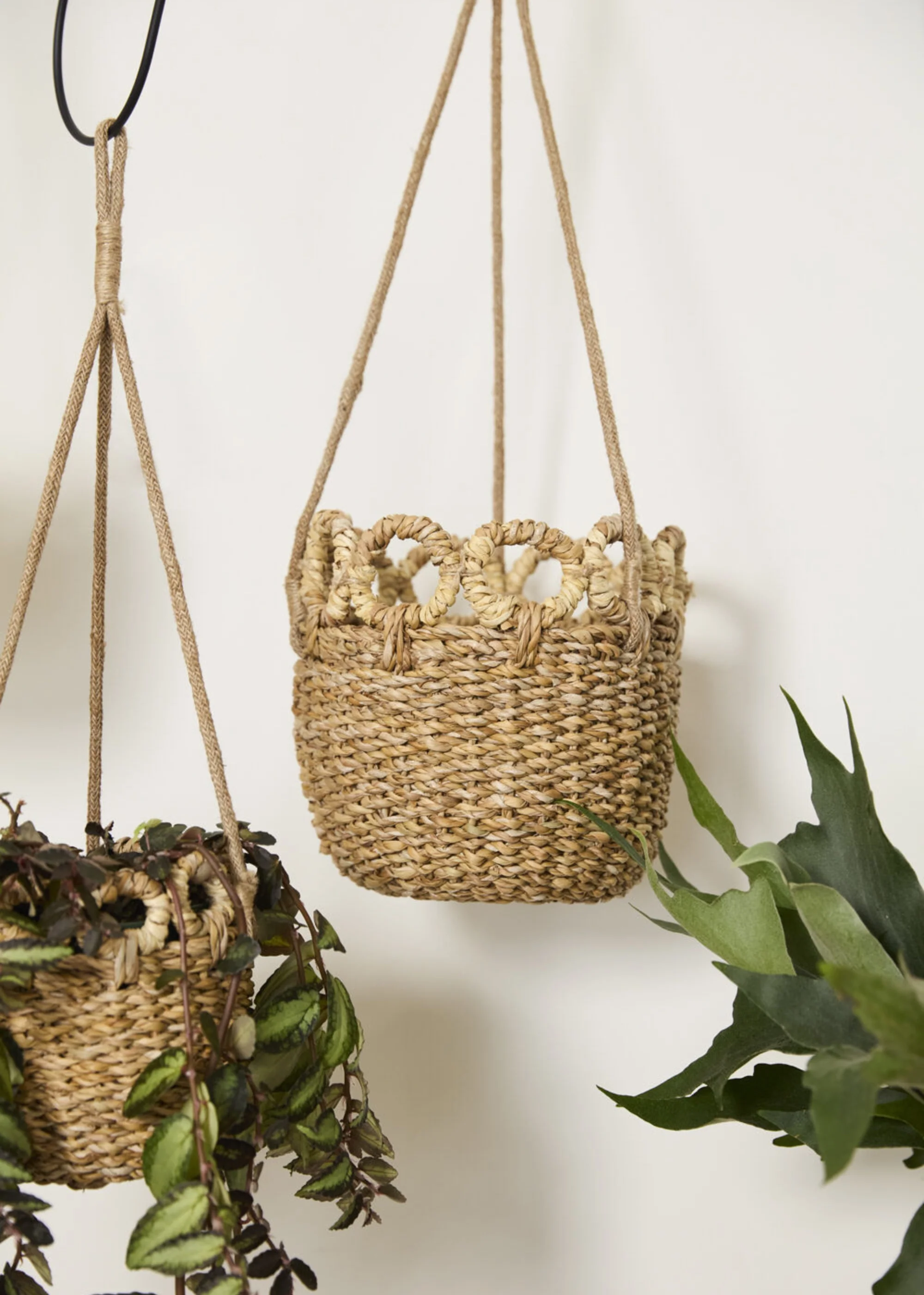 Handmade Woven Seagrass Hanging Plant Basket - 20" - Image 2
