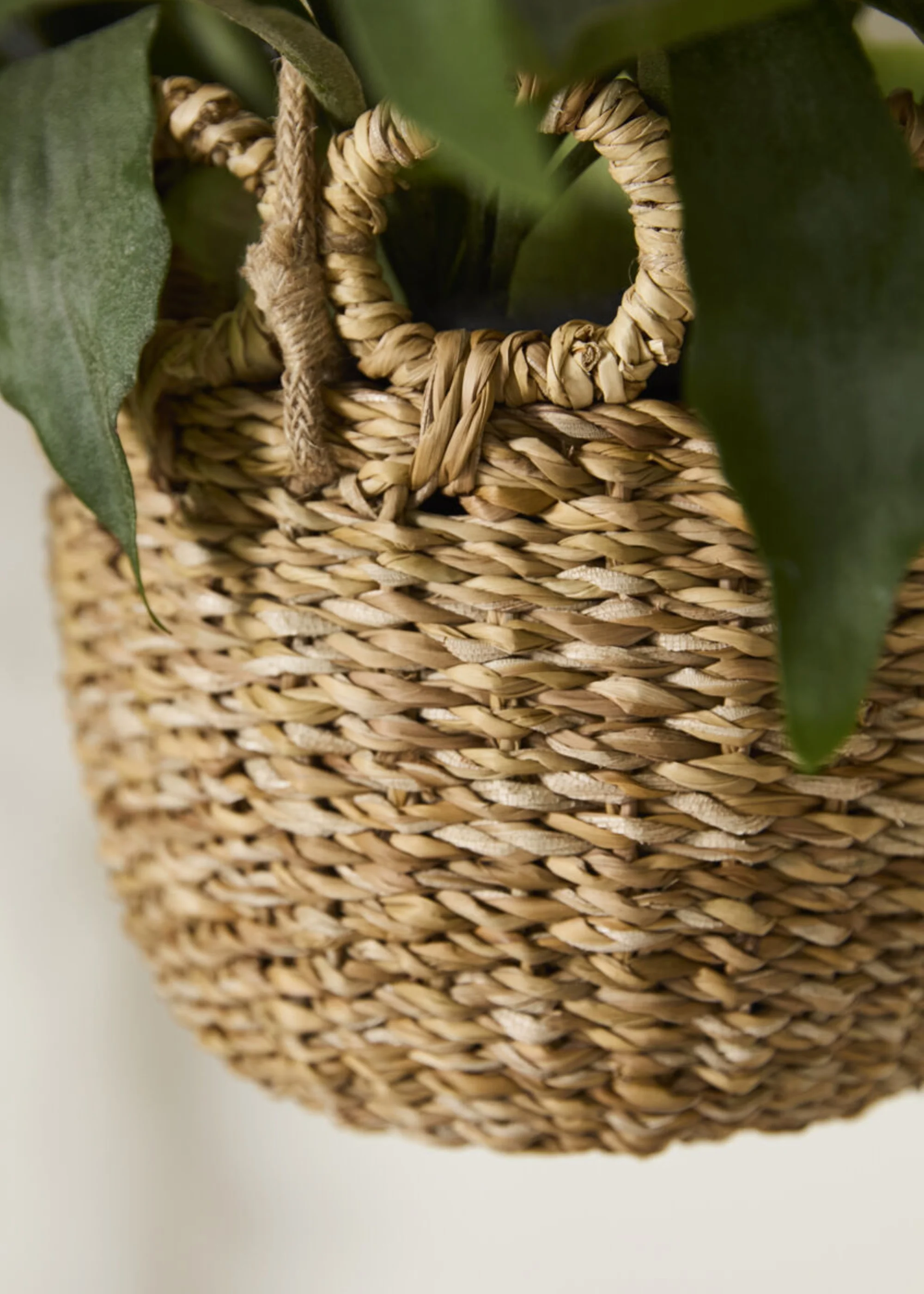 Handmade Woven Seagrass Hanging Plant Basket - 20" - Image 4
