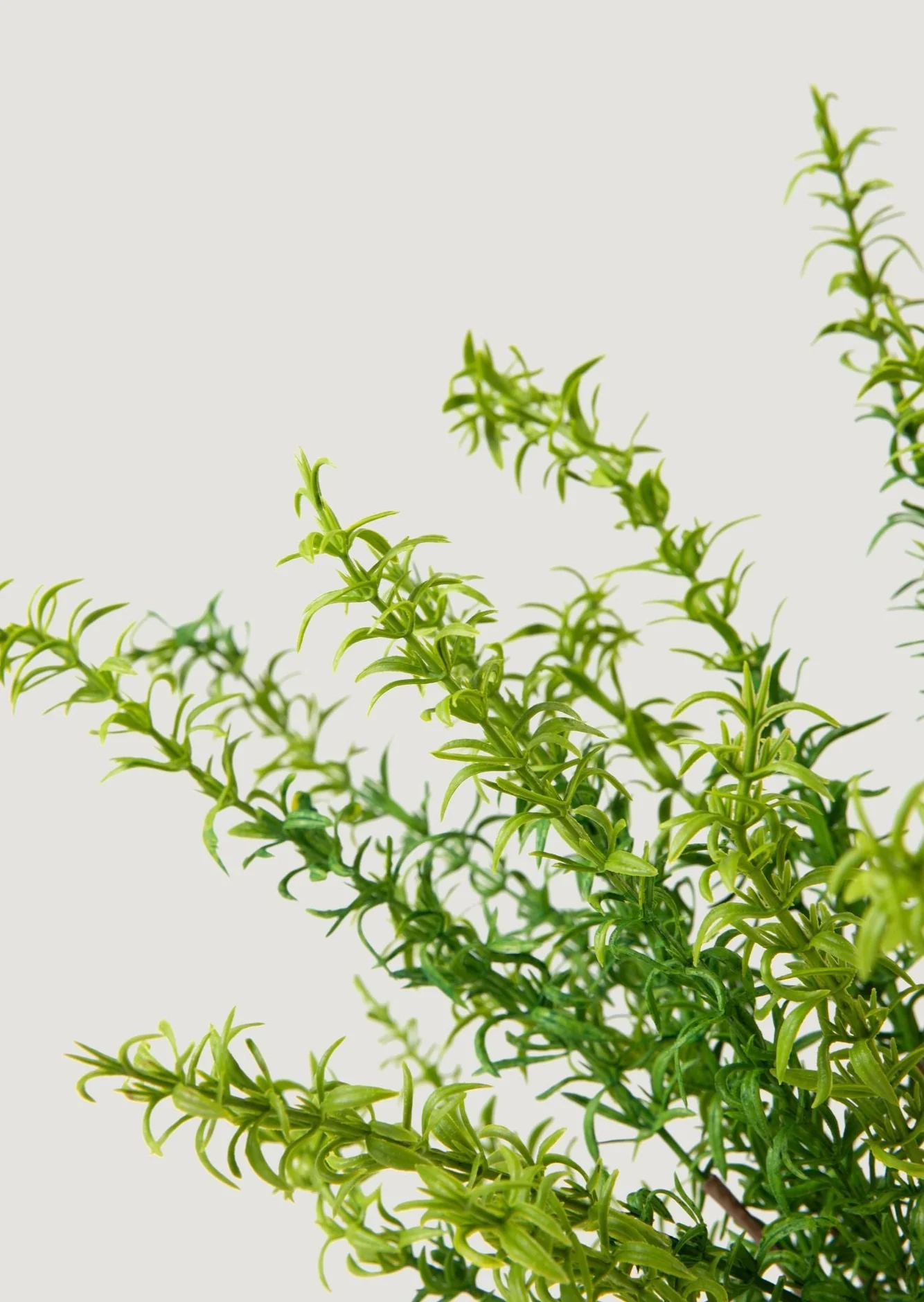 UV Treated Indoor/Covered Outdoor Artificial Rosemary Bush - 19" - Image 3