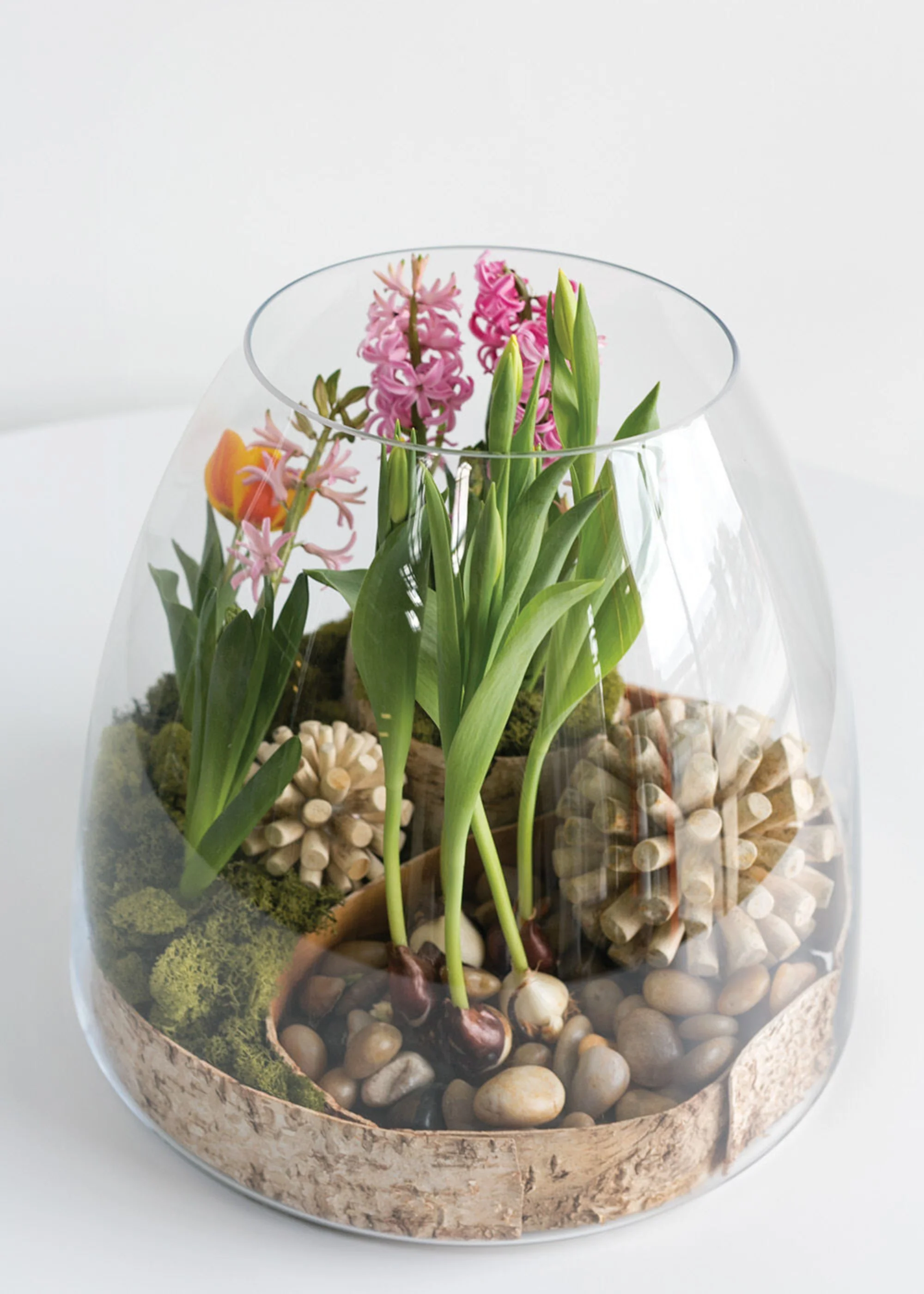 Large Clear Glass Terrarium Vase - 15.25" - Image 5