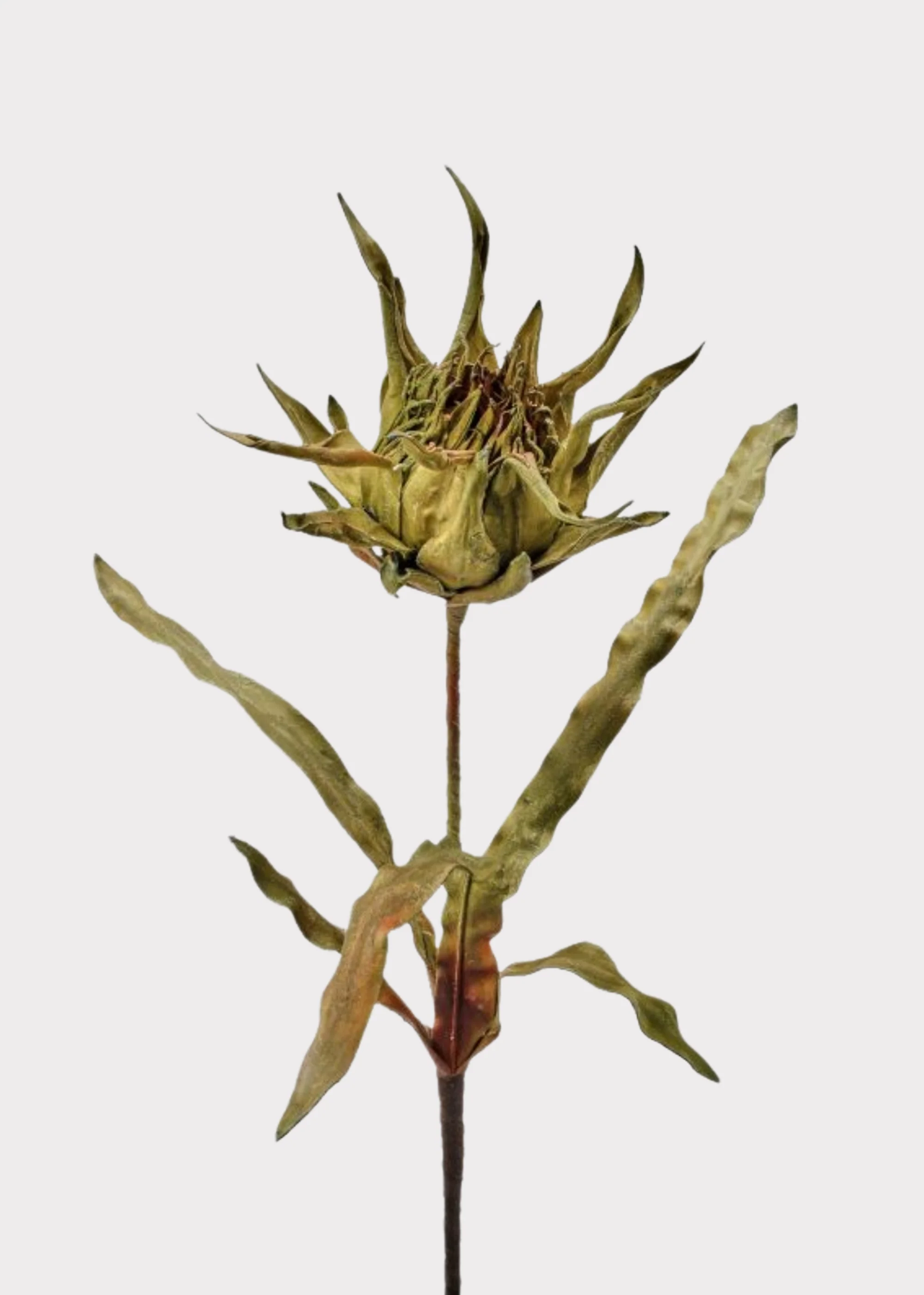 Large Fake Artichoke Protea Tropical Flower in Green - 40"