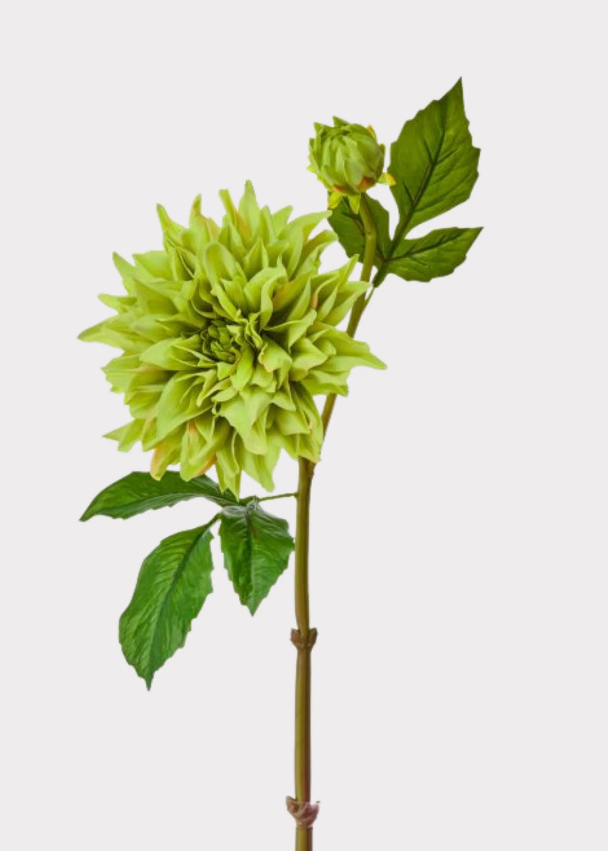Large Green Dahlia Real Touch Fake Flower - 28"