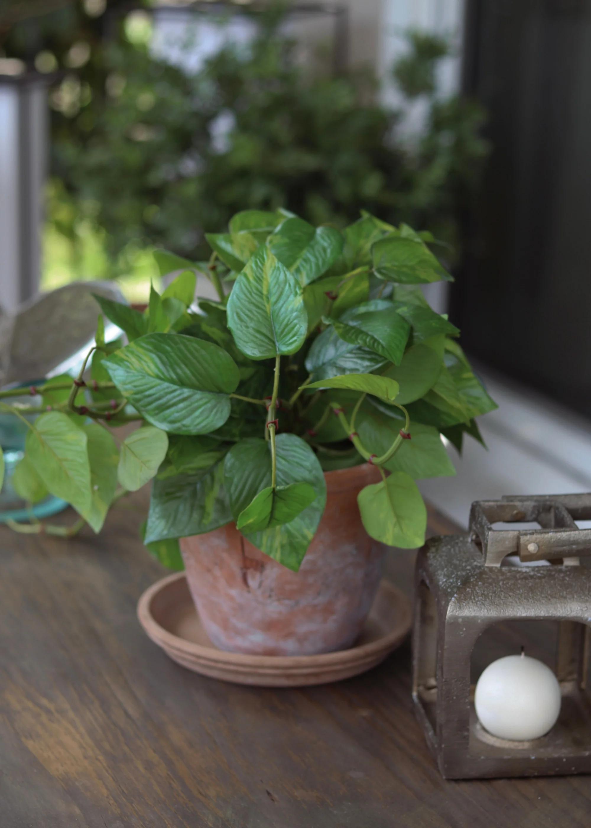 Outdoor UV Treated Pothos Real Touch Potted Plant - 13" - Image 2