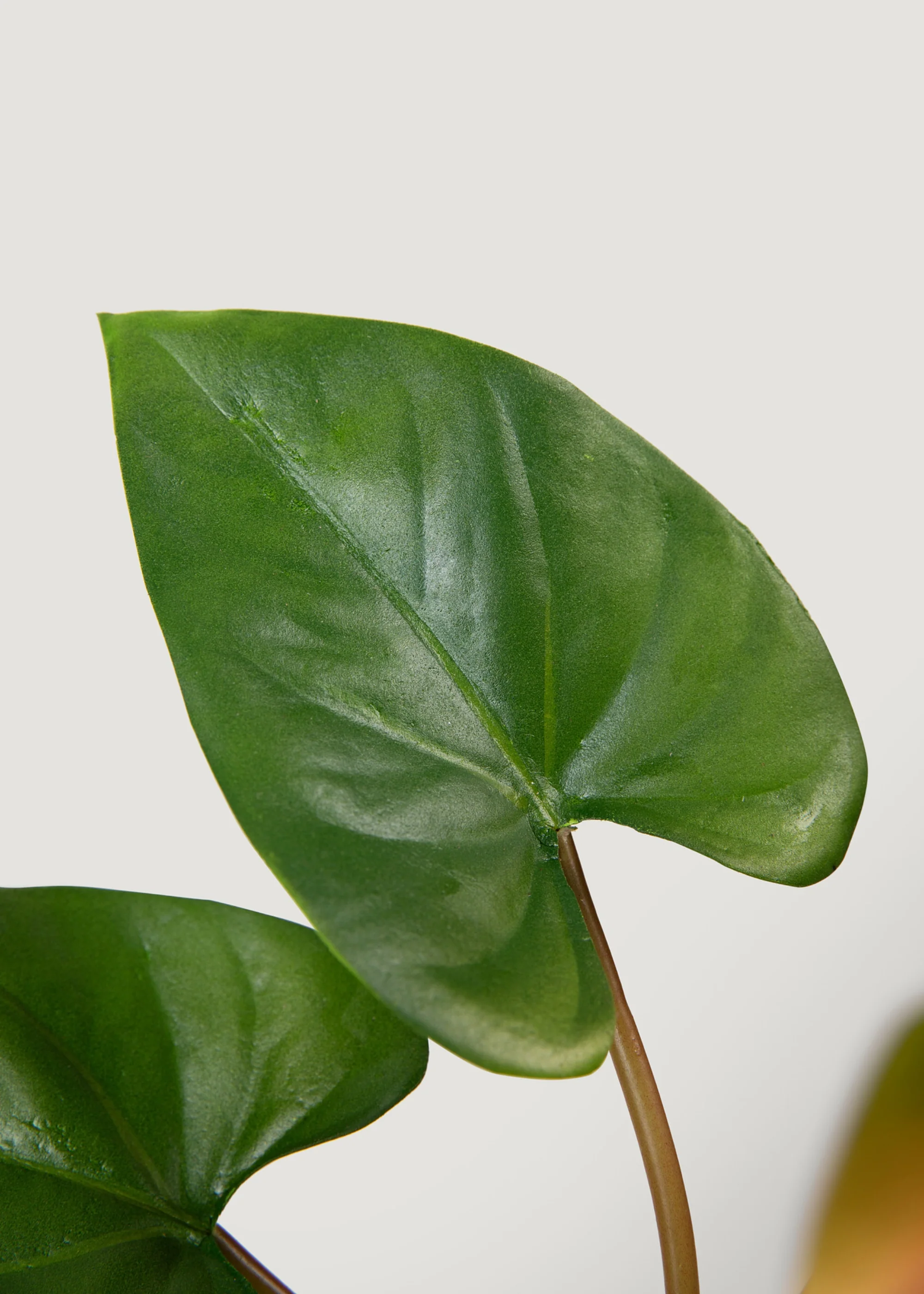 Pink and Green Fake Tropical Flower Anthurium Bundle - 25" - Image 3