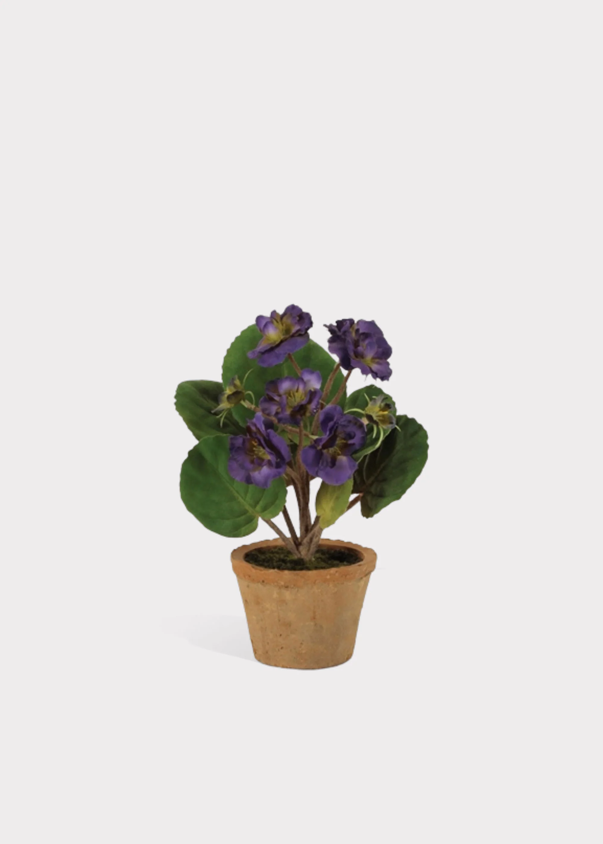 Purple Fake Potted African Violet Plant in Terra Cotta Pot - 8"