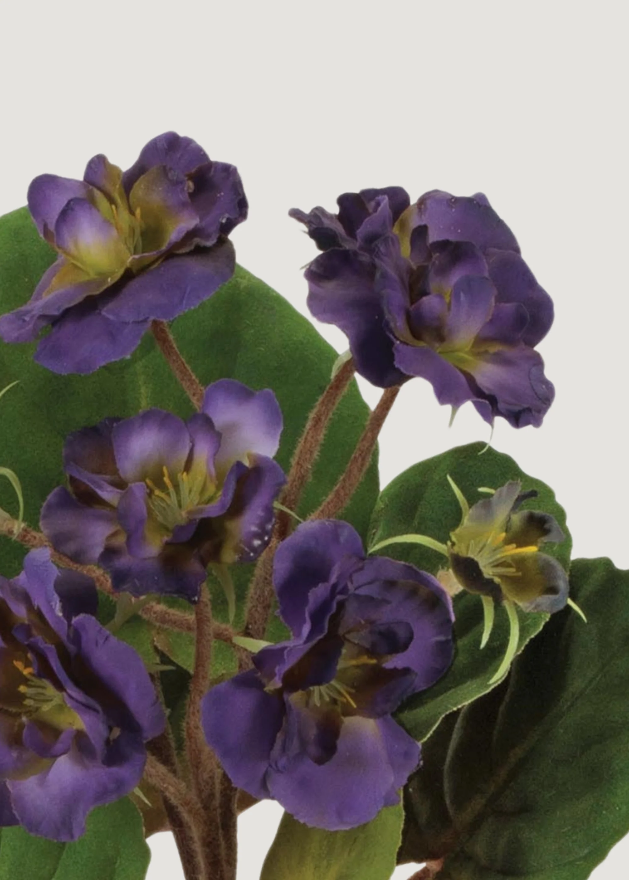 Purple Fake Potted African Violet Plant in Terra Cotta Pot - 8" - Image 2