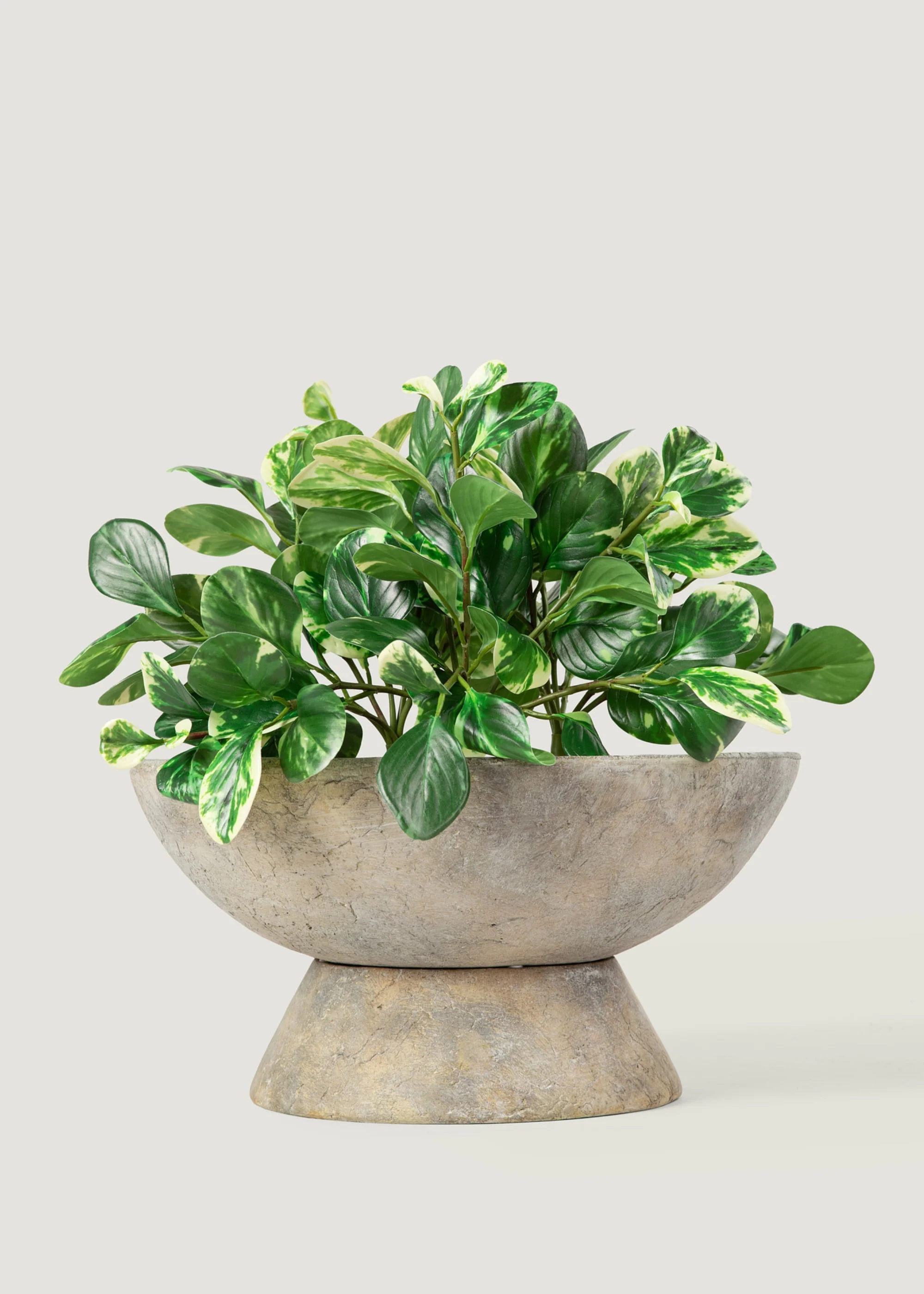 Small Artificial Peperomia Plant in Variegated Green - 16" - Image 2
