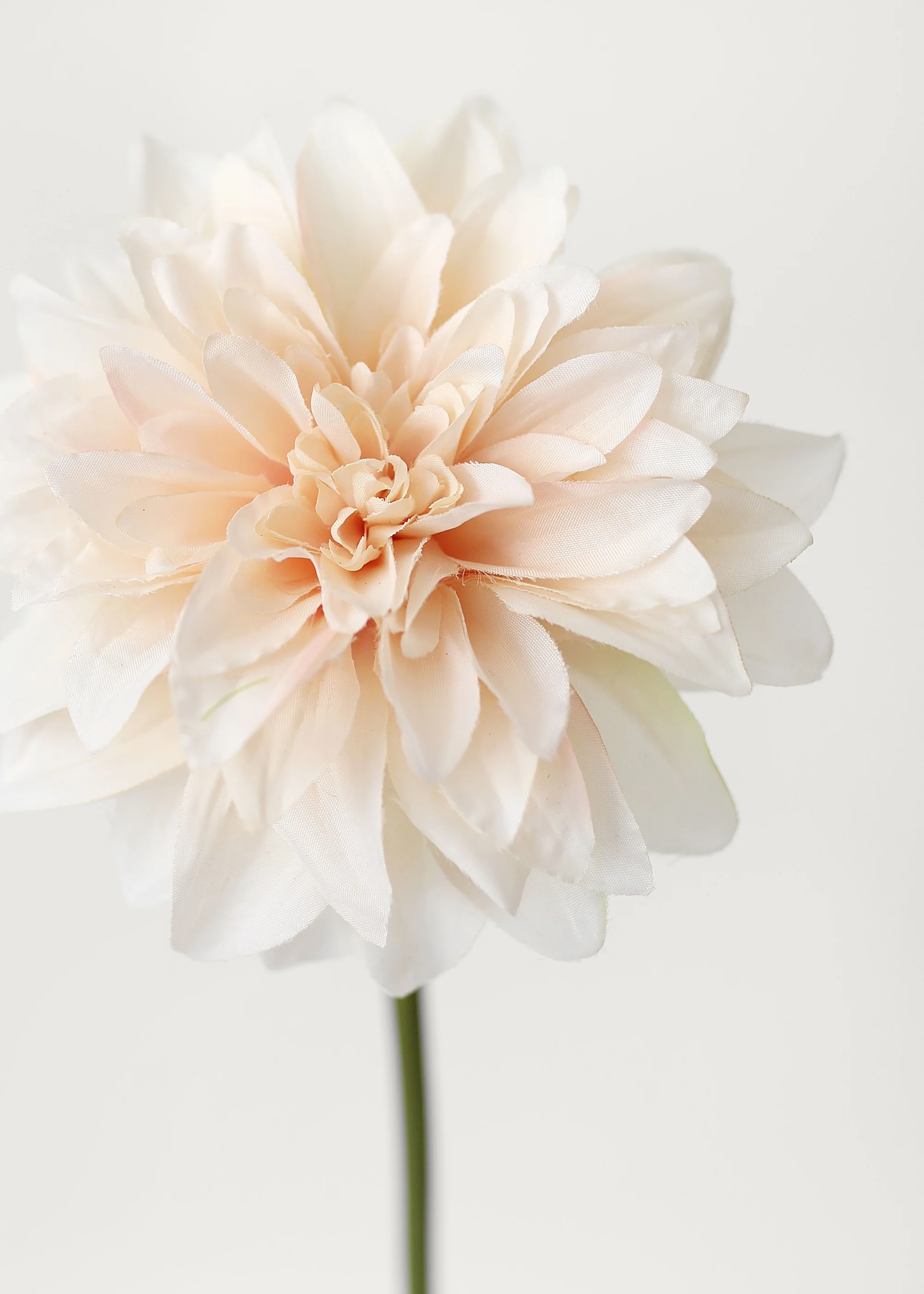 Blush Peach Dahlia Silk Flower - 19" - Image 5