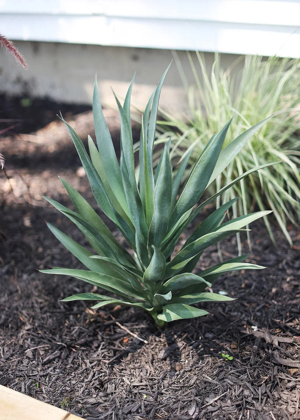 UV Resistant Artificial Outdoor Yucca Plant - 27" - Image 2