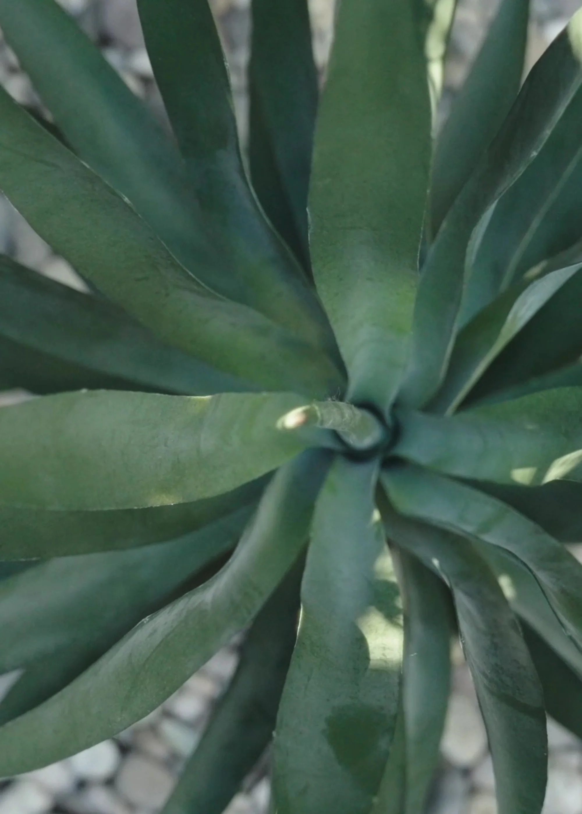 UV Resistant Artificial Outdoor Yucca Plant - 27" - Image 4