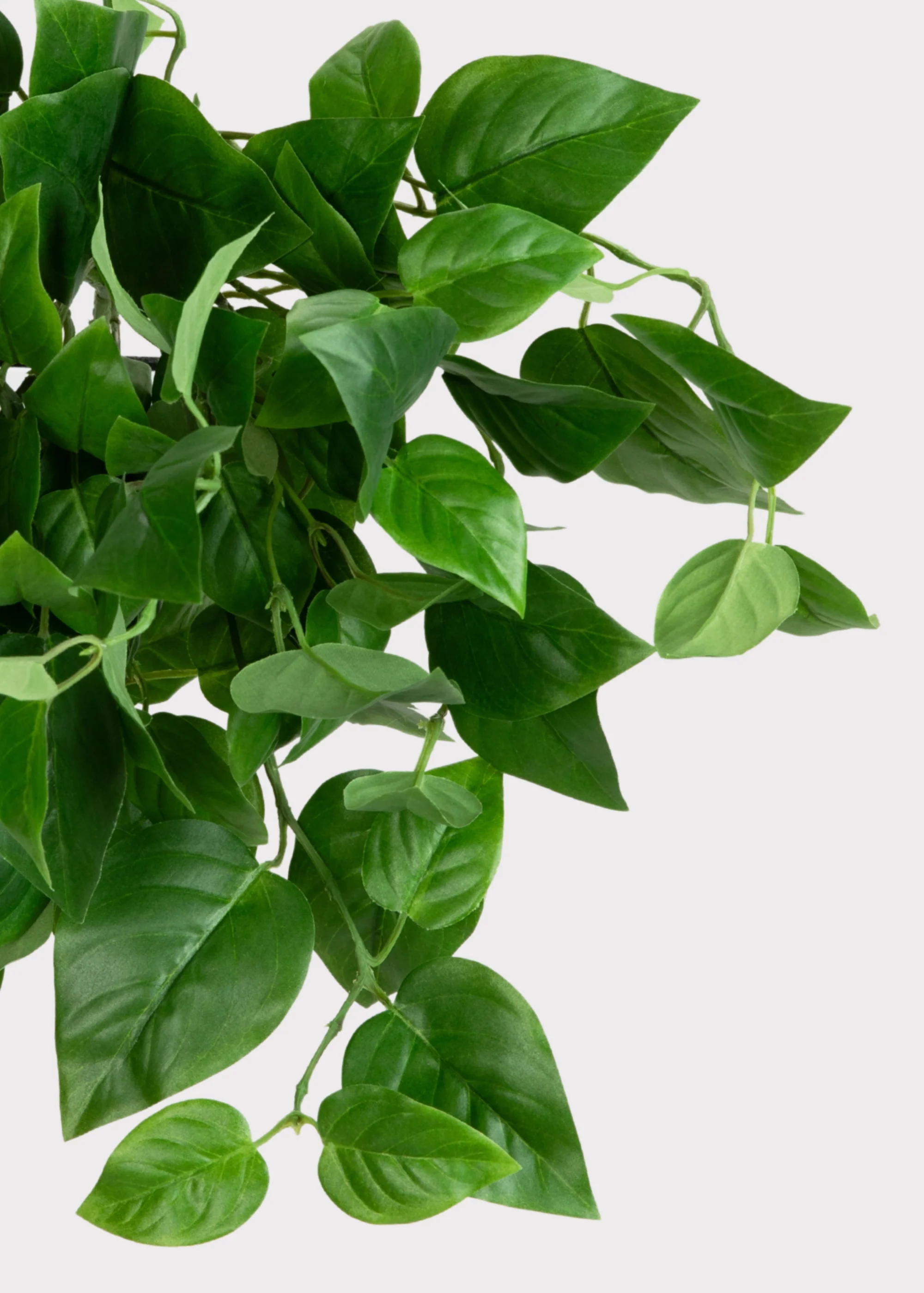 UV Treated Fake Indoor/Outdoor Hanging Philodendron Plant - 16" - Image 4