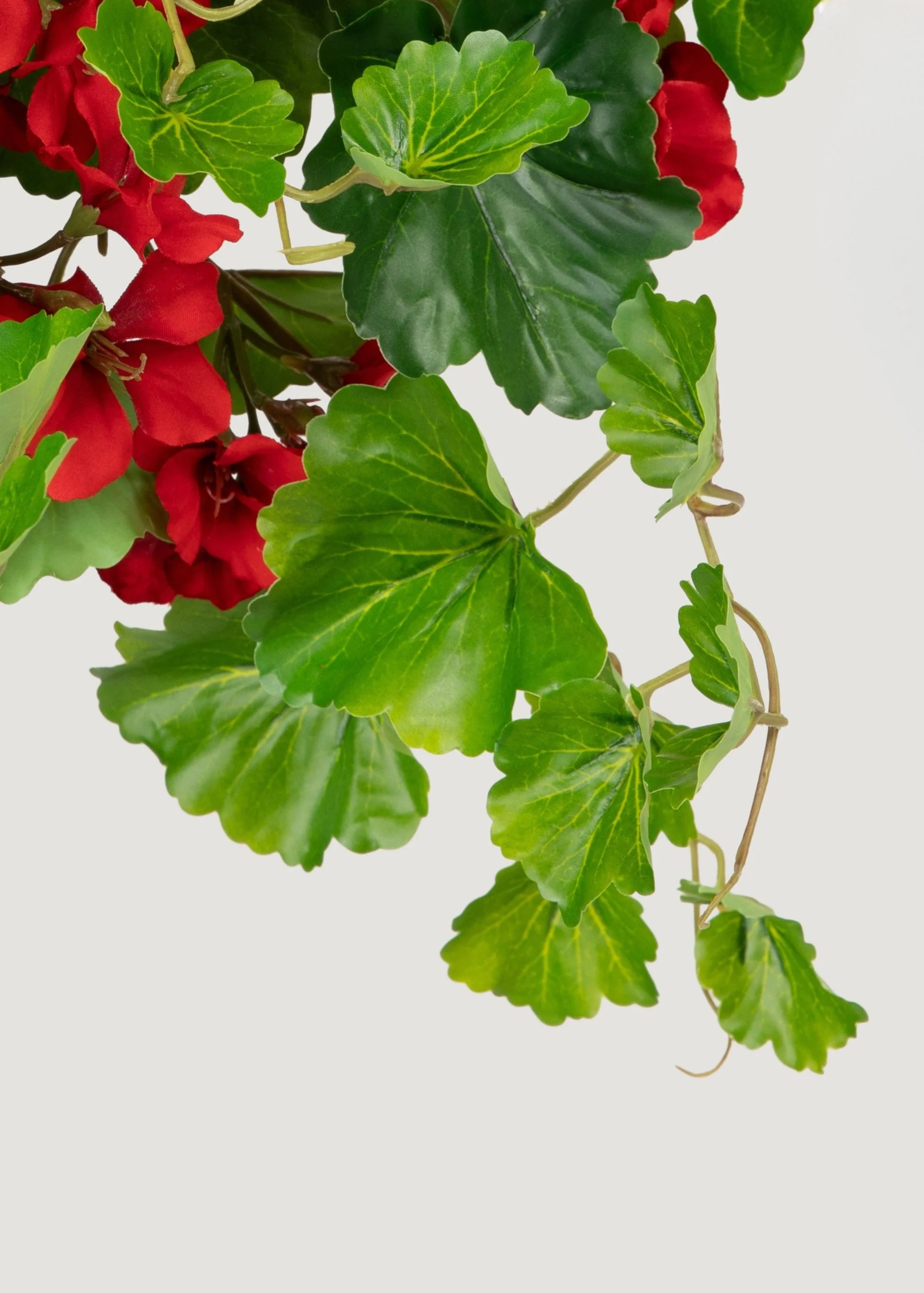 UV Treated Indoor/Outdoor Fake Geranium Hanging Bush - 24" - Image 4
