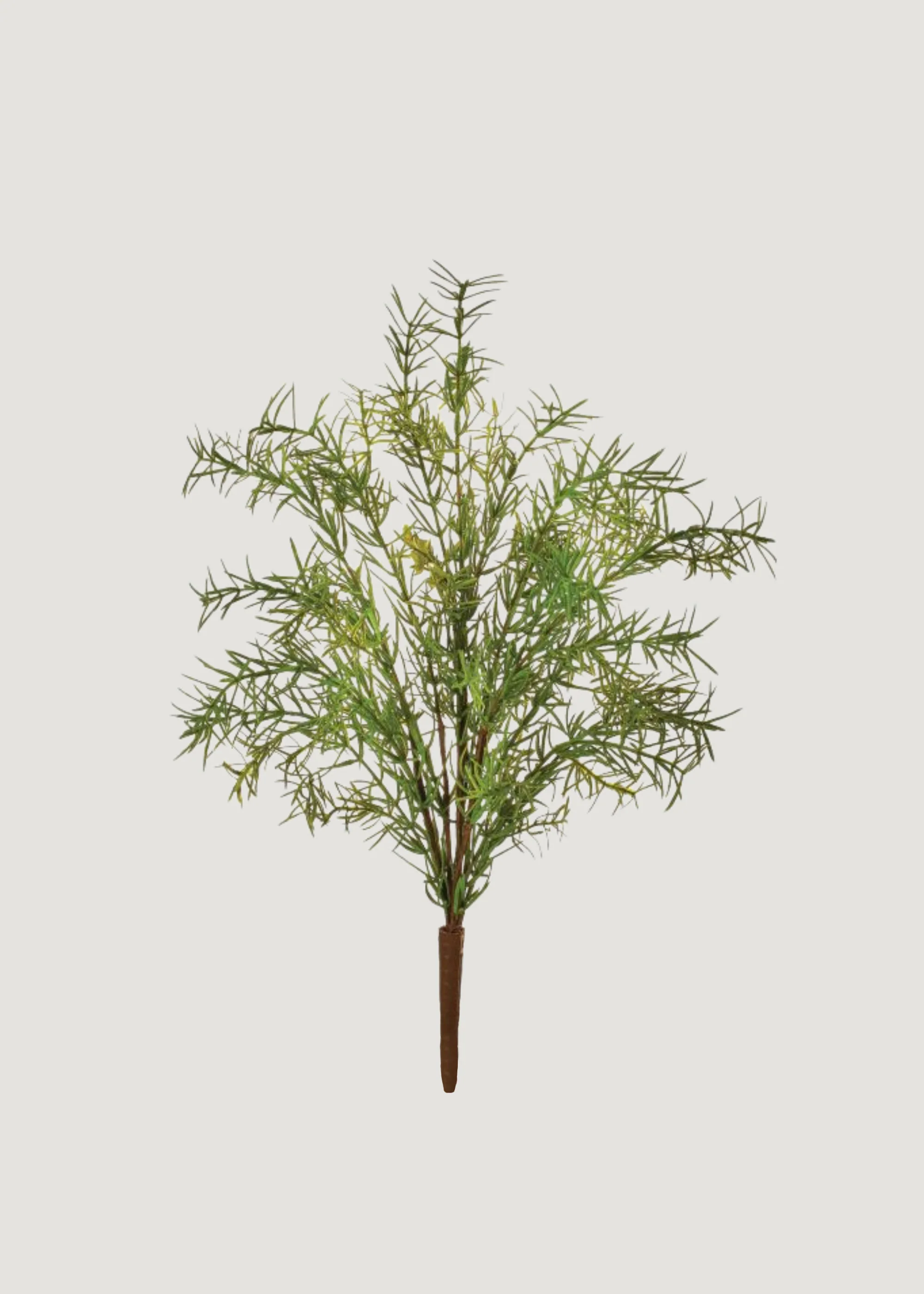 UV Treated Sprengeri Fern Indoor/Outdoor Natural Touch Plant - 18"