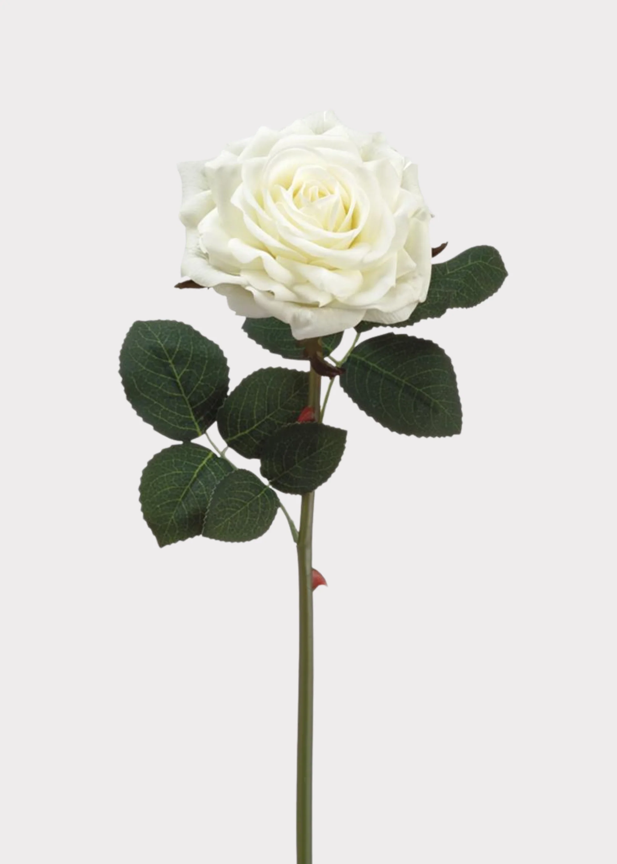 White Real Touch Rose - 12"